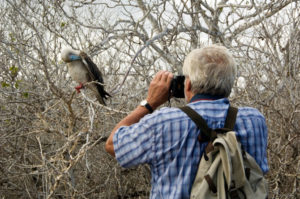 birding camera